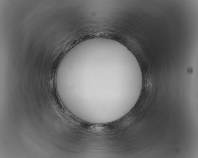 X0000112100607200908041114
