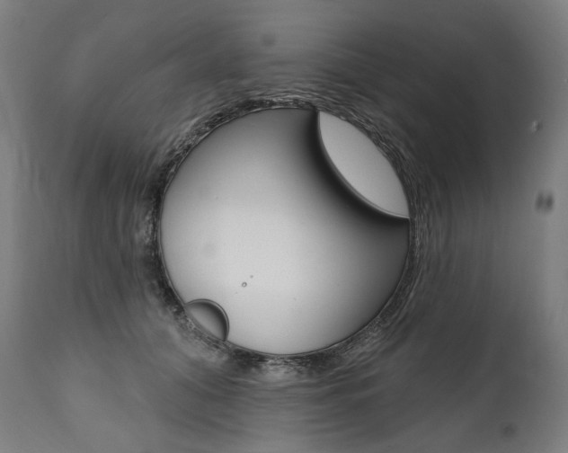 X0000112100608200908041114