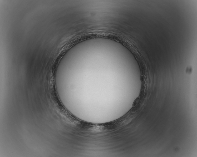 X0000112100609200908041114