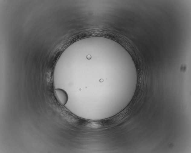 X0000112100610200908041114