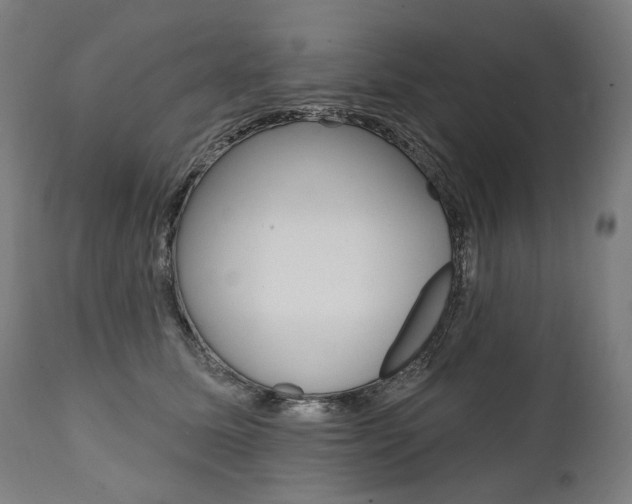 X0000112100611200908041114