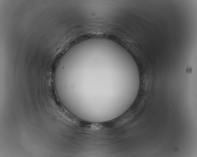 X0000112100612200908041114