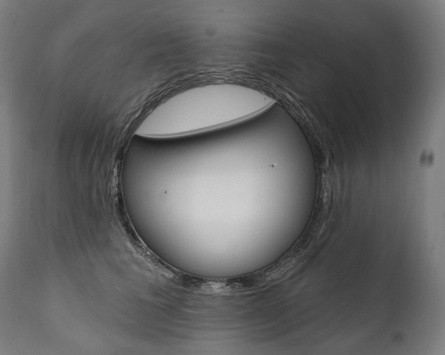 X0000112100613200908041114