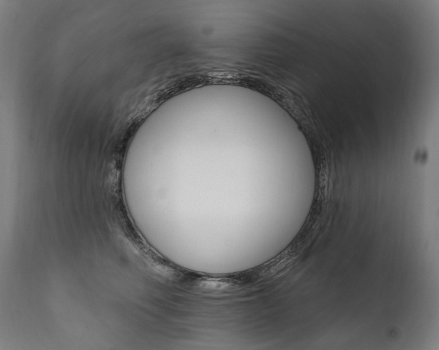 X0000112100614200908041114