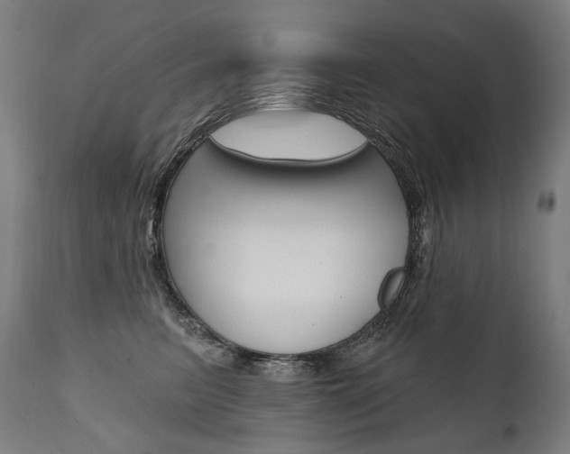 X0000112100615200908041114