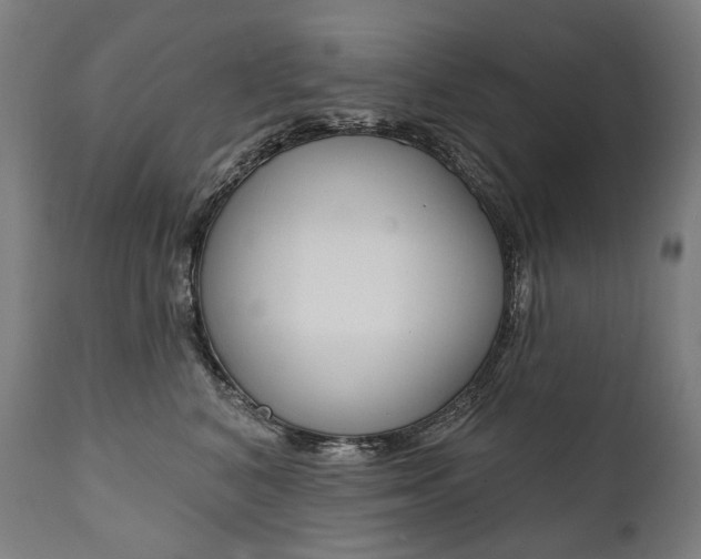 X0000112100616200908041114