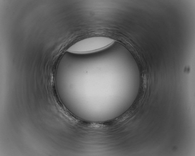 X0000112100617200908041114