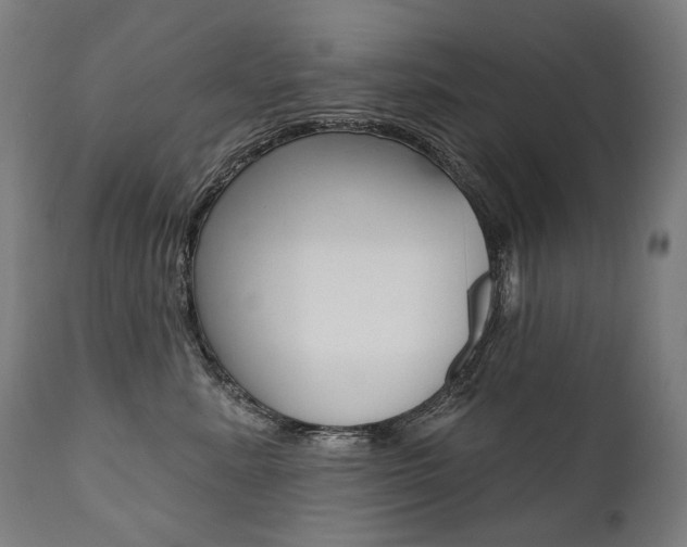 X0000112100619200908041114