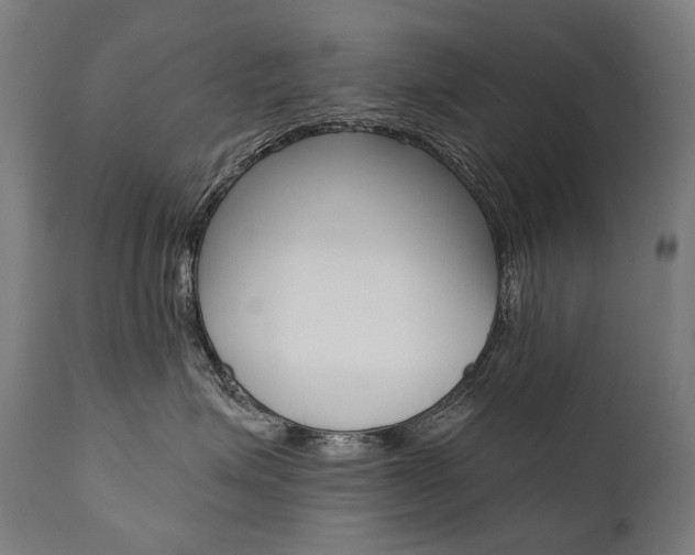X0000112100623200908041114