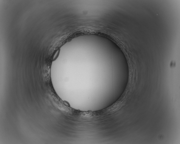 X0000112100624200908041114