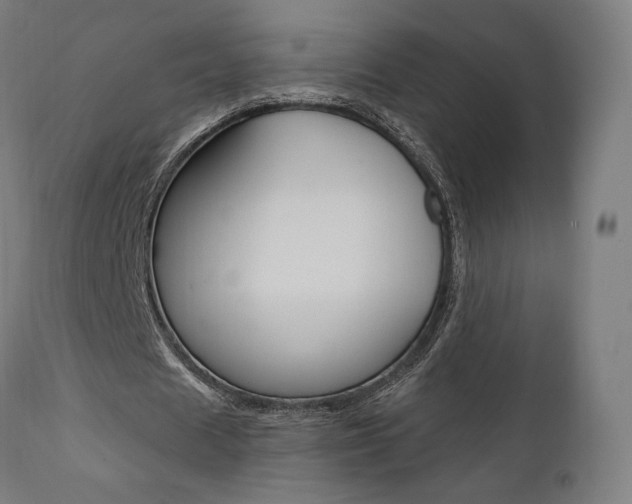 X0000112100625200908041113