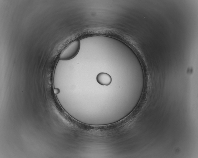 X0000112100633200908041113