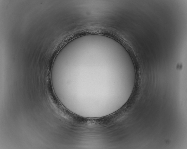 X0000112100641200908041113