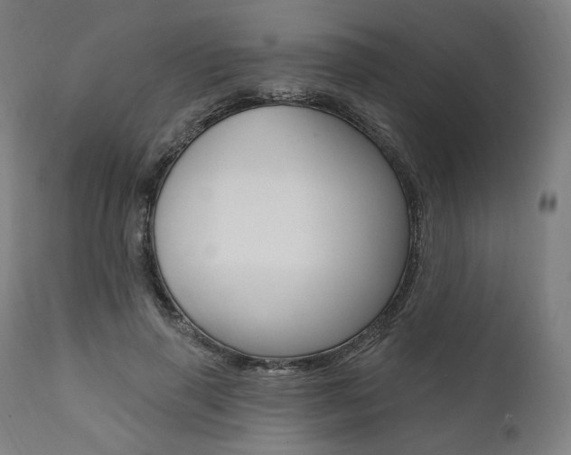 X0000112100645200908041113