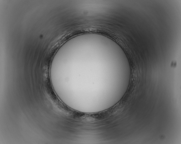 X0000112100648200908041113