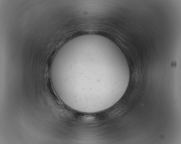 X0000112100651200908041113