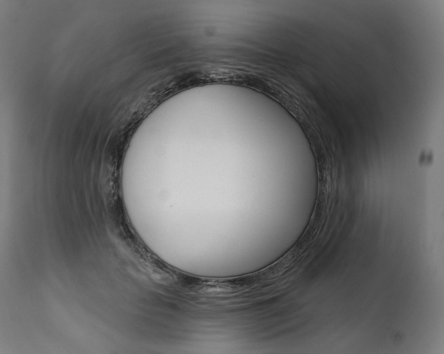 X0000112100653200908041113