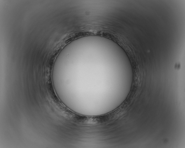 X0000112100656200908041113