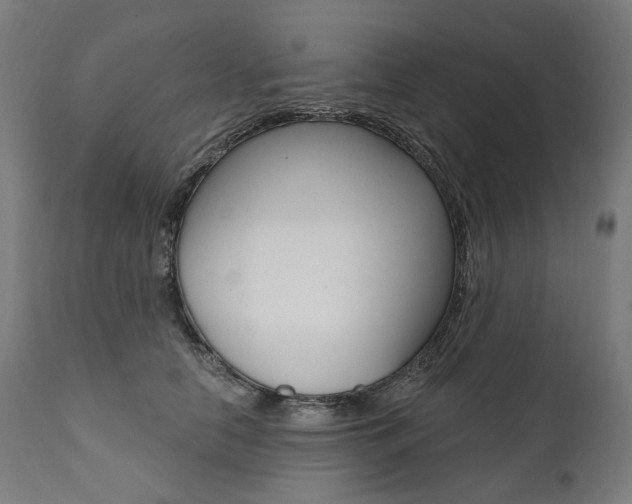 X0000112100658200908041113