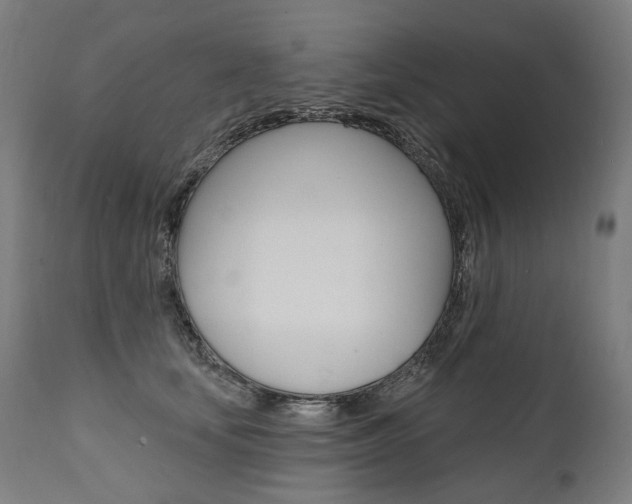 X0000112100659200908041113