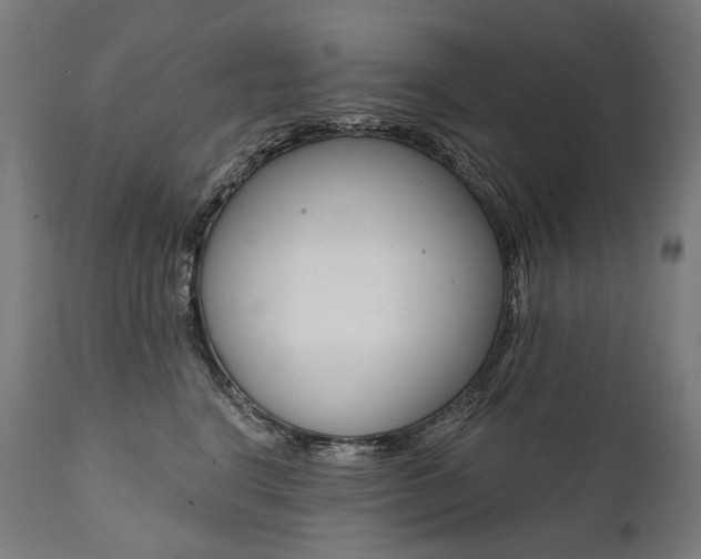 X0000112100664200908041114