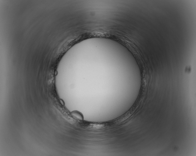 X0000112100665200908041114