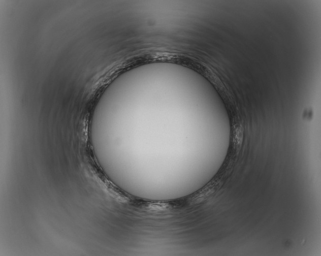 X0000112100666200908041114