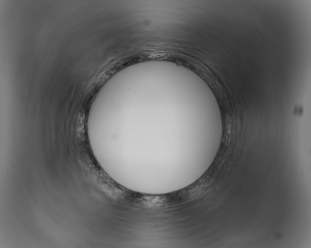 X0000112100667200908041114