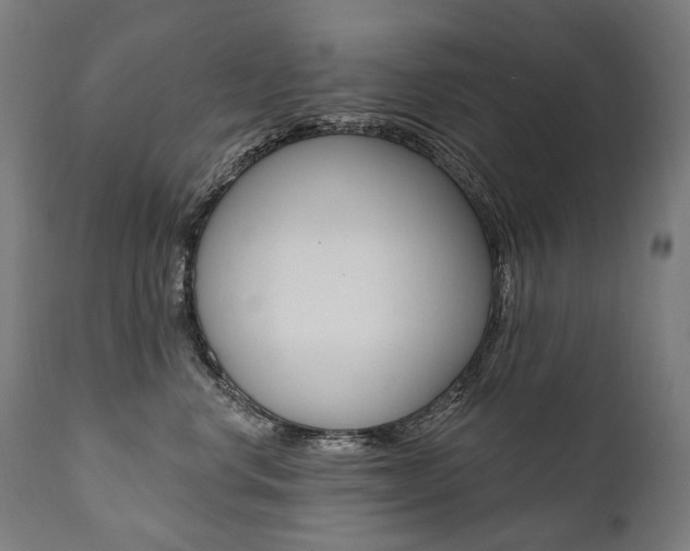 X0000112100668200908041114