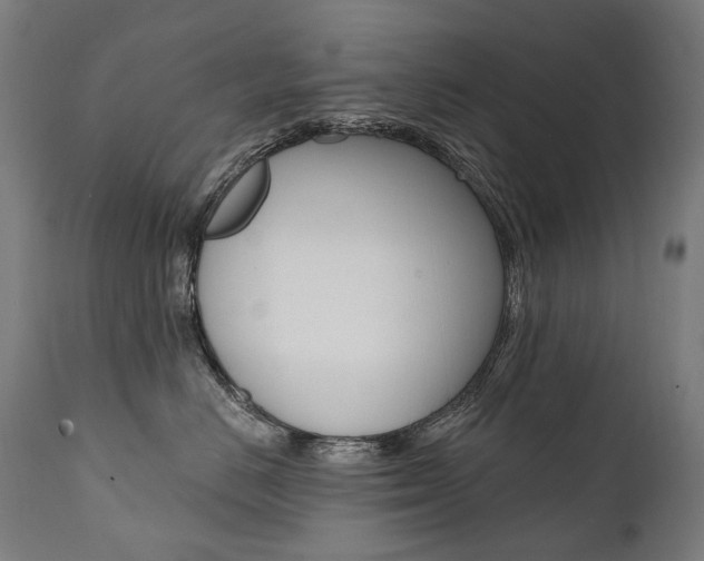 X0000112100670200908041114