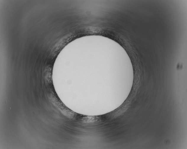 X0000112100672200908041114