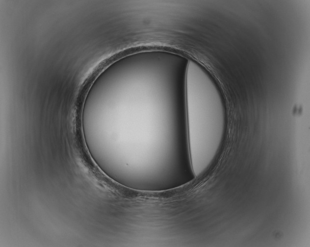 X0000112100676200908041113