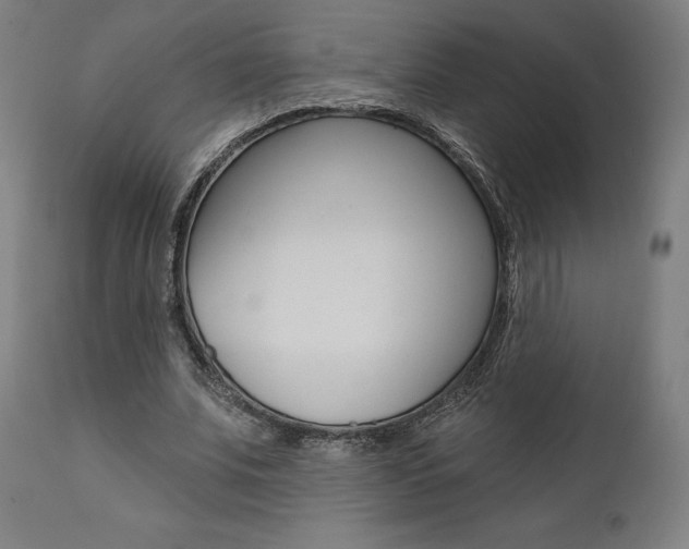 X0000112100679200908041113