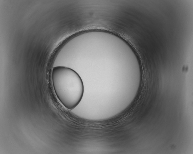 X0000112100680200908041113