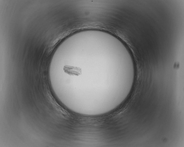 X0000112100681200908041113