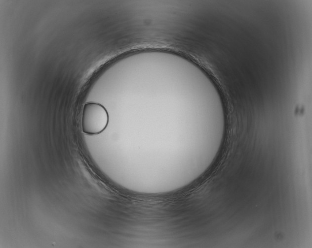 X0000112100684200908041113