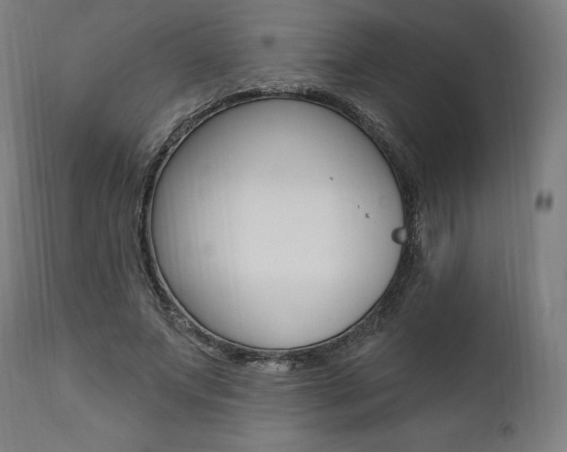 X0000112100687200908041113