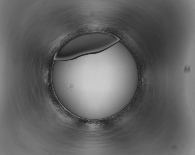 X0000112100693200908041113