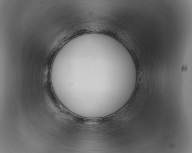 X0000112100694200908041113