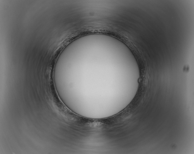 X0000112100695200908041113