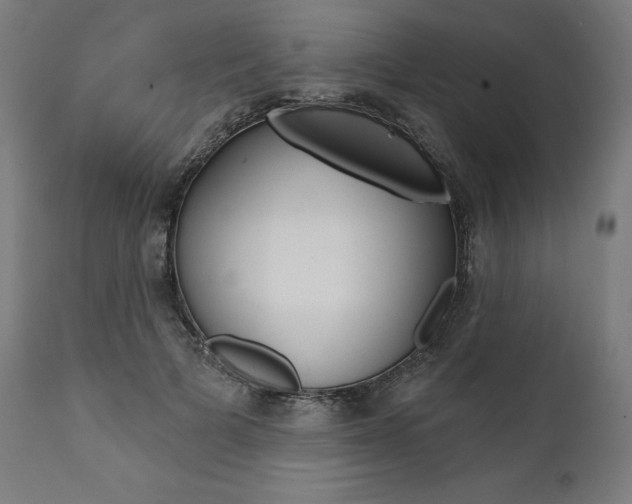 X0000112100697200908041113