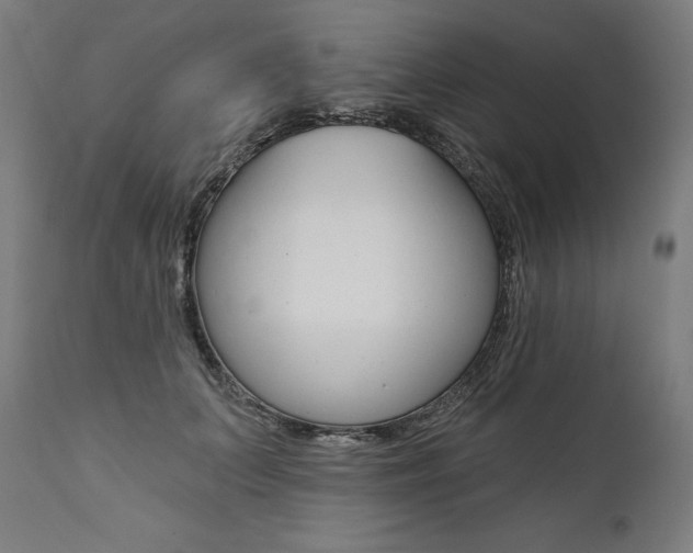 X0000112100703200908041113