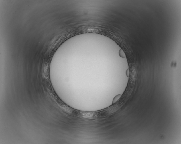 X0000112100709200908041112