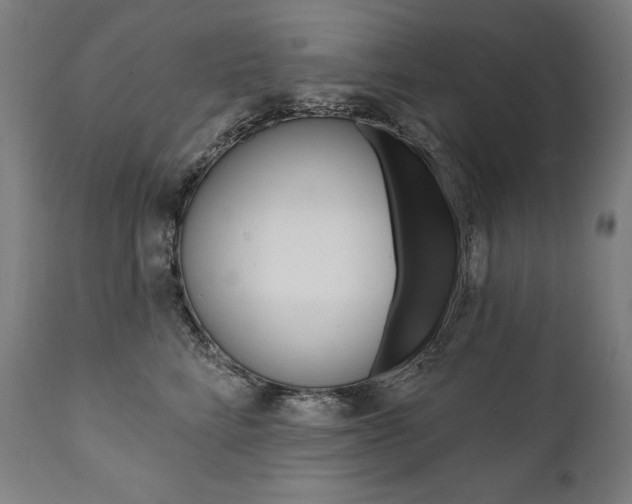 X0000112100712200908041112