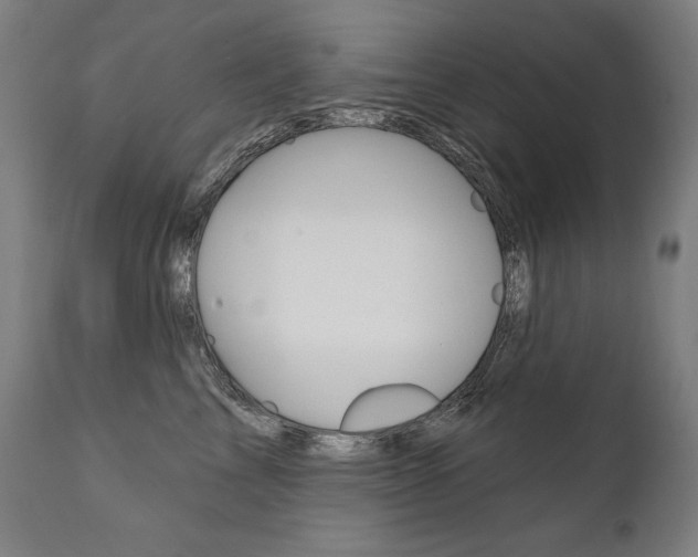 X0000112100713200908041112