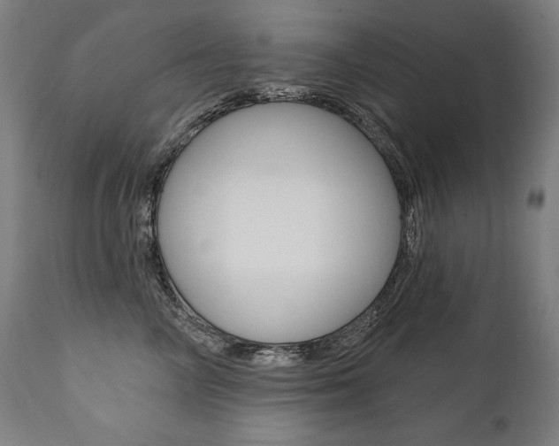 X0000112100714200908041112