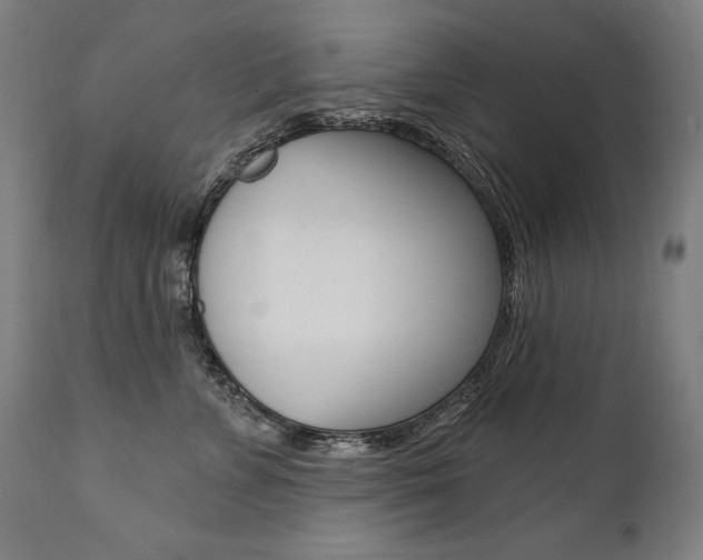 X0000112100715200908041112