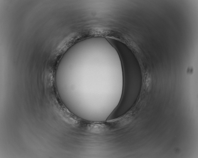 X0000112100716200908041112