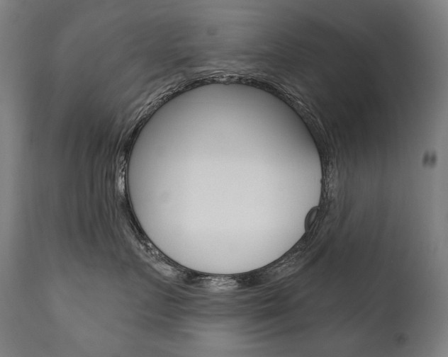 X0000112100719200908041112