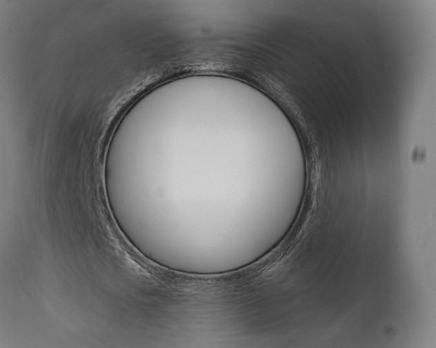 X0000112100721200908041111